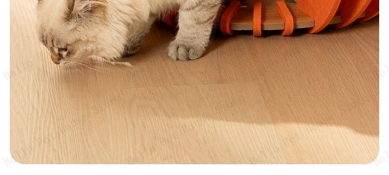 Pumpkin House Felt Cat Nest Fresh and Breathable Cat Bed Semi-enclosed Summer Pet Nest Practical Pet Furniture cat bed