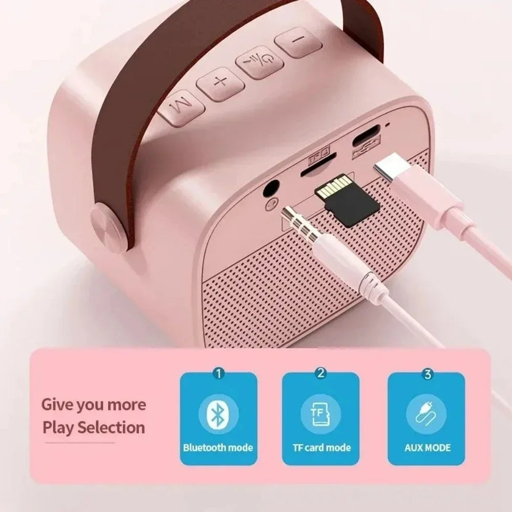 Portable Wireless Dual Microphones Karaoke Machine HomeKTV DSP System Bluetooth Speaker HIFI Stereo Surround For Kids Party Gift
