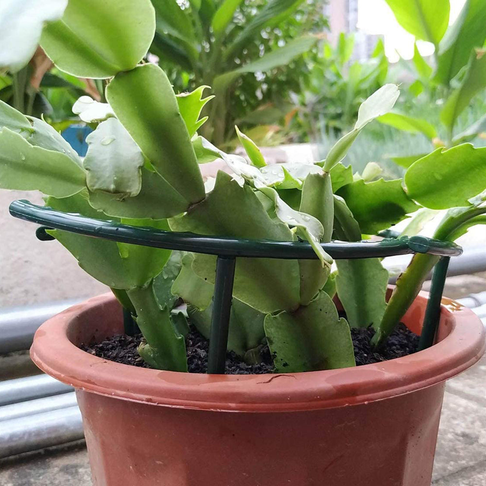 2/4/8PCS Plastic Plant Support Pile Frame Greenhouse Arrangement Semicircle Fixed Rod Indoor Flower Plant Vine Climbing Bracket