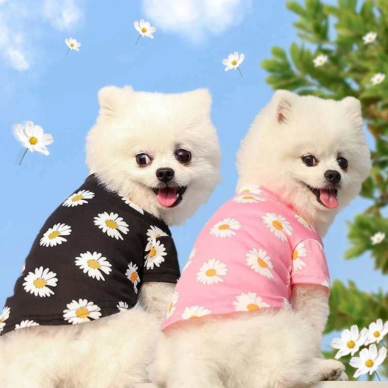 Puppy Summer Clothes Dog Fancy Dress for Small Breeds Dogs Pet Short Skirt Pomeranian One Piece Ropa Perro Costume Roupa Vestido