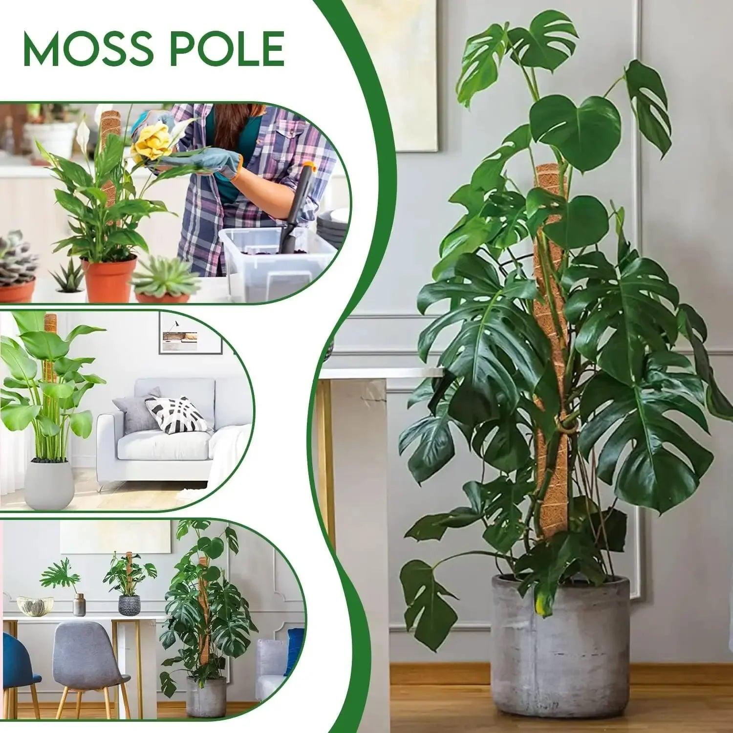 Extendable Handmade Moss Pole For Plants  Plant Climbing Rod Plant Pole For Climbing Plants, Real Handmade Moss Stick F