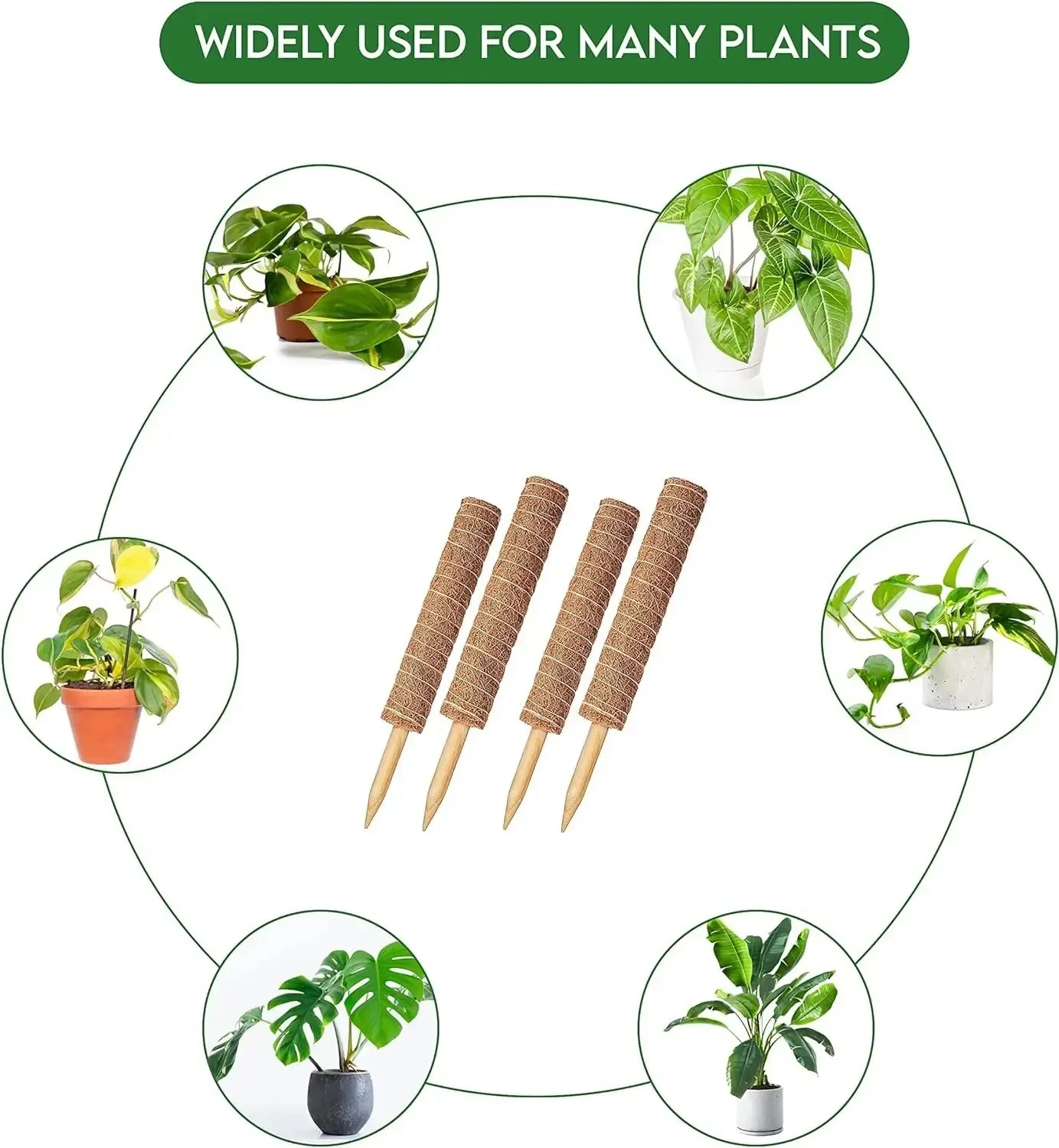 Extendable Handmade Moss Pole For Plants  Plant Climbing Rod Plant Pole For Climbing Plants, Real Handmade Moss Stick F