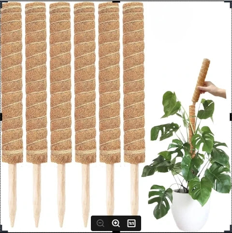 Extendable Handmade Moss Pole For Plants  Plant Climbing Rod Plant Pole For Climbing Plants, Real Handmade Moss Stick F
