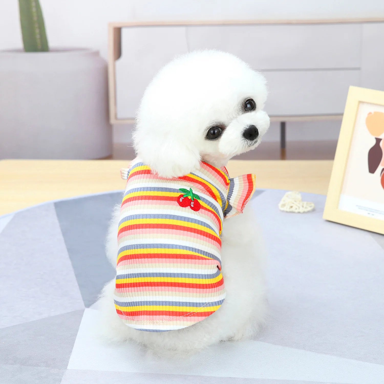Puppy Summer Clothes Dog Fancy Dress for Small Breeds Dogs Pet Short Skirt Pomeranian One Piece Ropa Perro Costume Roupa Vestido