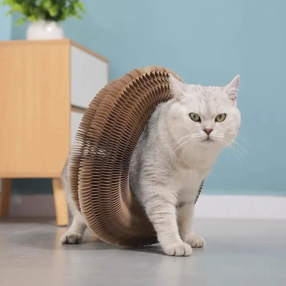 Piano cat scratching post: durable, non-abrasive, boredom-relieving, corrugated, essential for claw sharpening.
