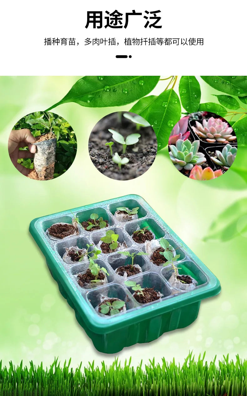 12-well Plastic Seedling Pot Succulent Sowing Seedling Box Insulated Seedling Tray