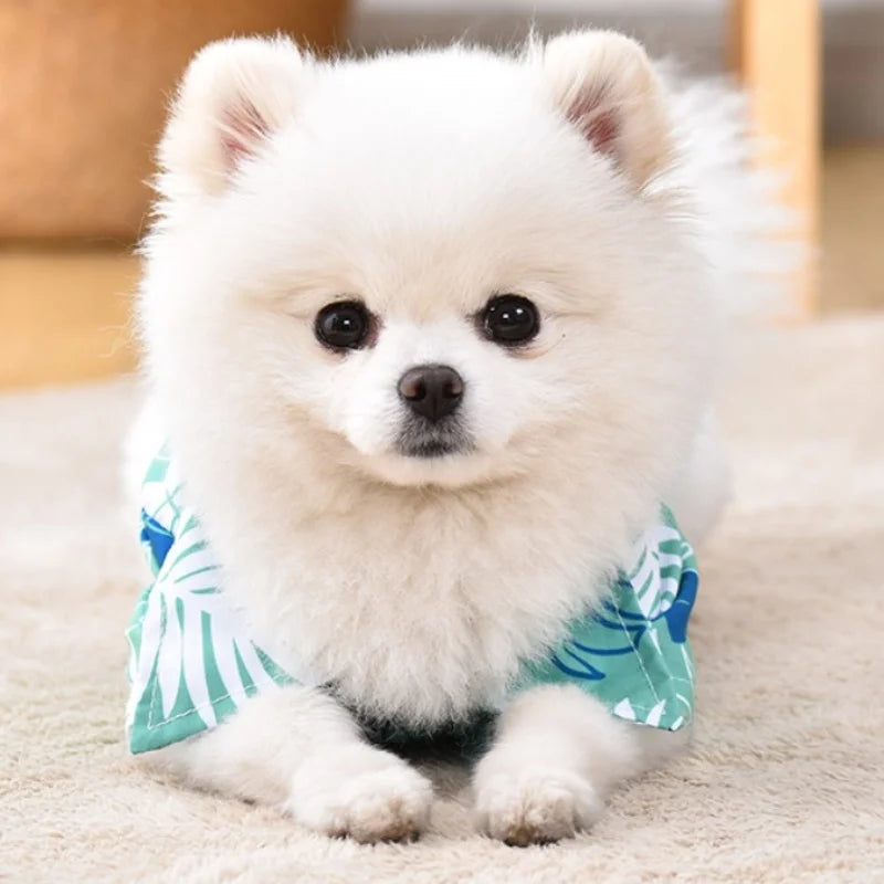 Summer Dog Clothes Hawaiian Style Pet Beach Dog Shirts Fashion Puppy Vest Coconut Print Cat Shirt Chihuahua Yorkies Pet Clothes