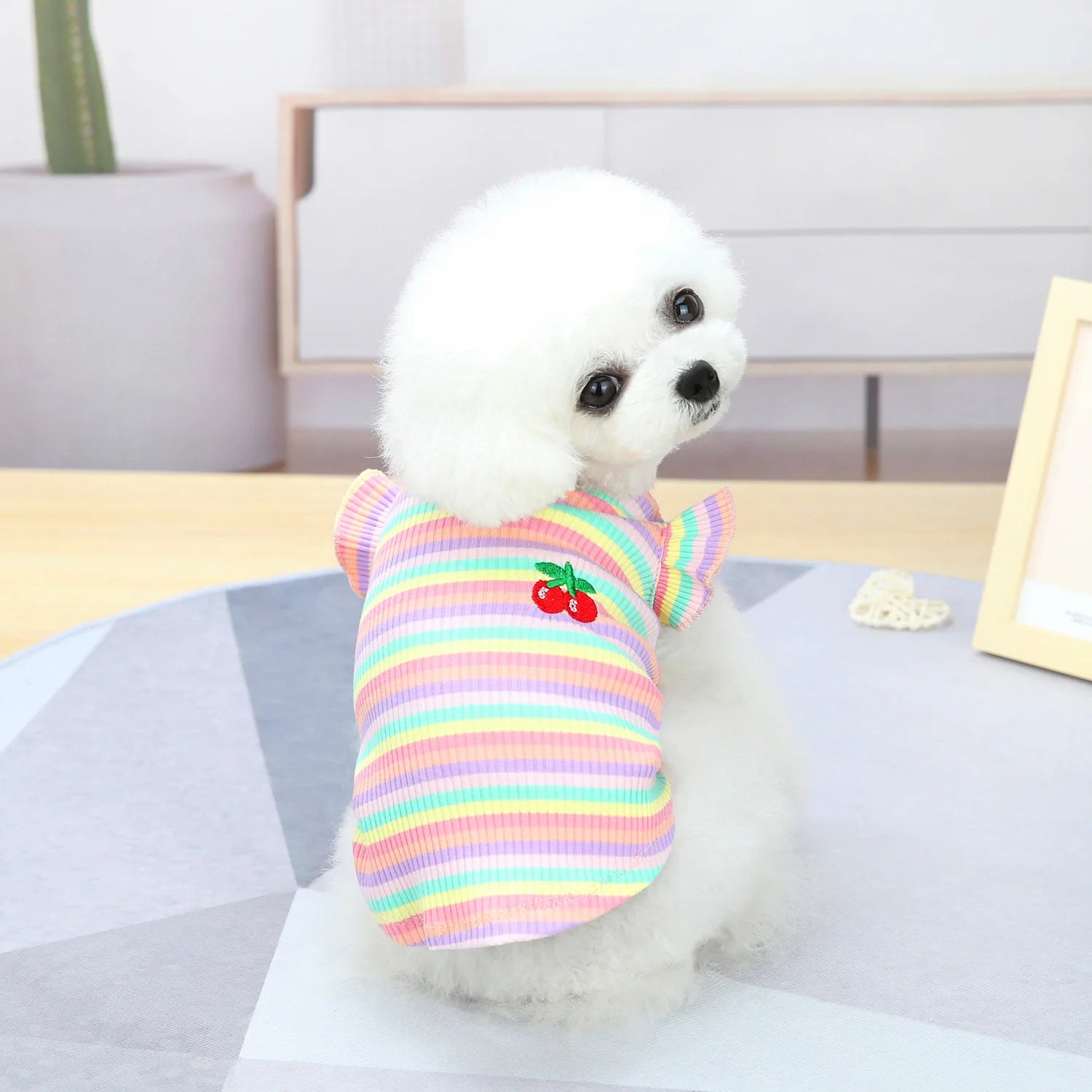 Puppy Summer Clothes Dog Fancy Dress for Small Breeds Dogs Pet Short Skirt Pomeranian One Piece Ropa Perro Costume Roupa Vestido