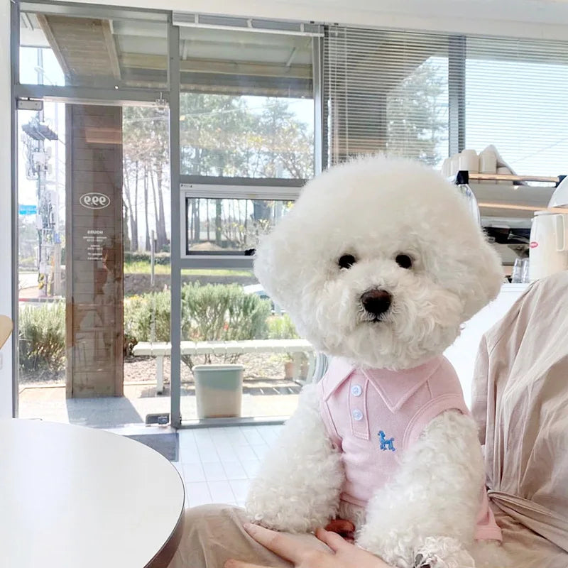 Summer Polo Shirt for Dogs Puppy Clothes Bichon Frise Chihuahua Stripe Dog Sweatshirt Dog Cooling Vest for Small and Medium Dogs