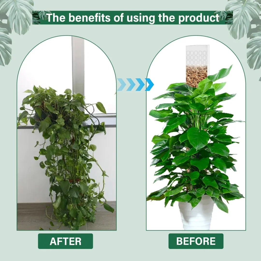Moss Pole Plastic Plant Stand Indoor Climbing Plants Guardian Tutors Pot Moss Stick For Plants Growth Garden Support Accessories