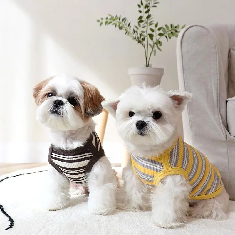 Cotton Rib Dog Shirt Sleeveless Stripe Vest for Small Dogs Teacup Chihuahua Yorkie Puppy Clothes Knitted Breathable Tank Tee