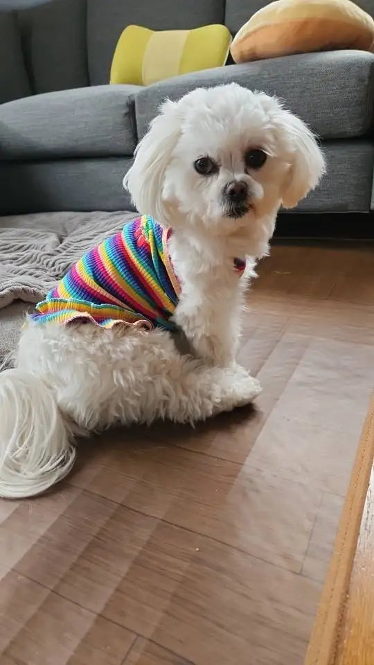 Puppy Summer Clothes Dog Fancy Dress for Small Breeds Dogs Pet Short Skirt Pomeranian One Piece Ropa Perro Costume Roupa Vestido