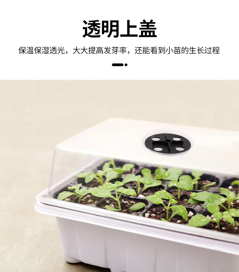 12-well Plastic Seedling Pot Succulent Sowing Seedling Box Insulated Seedling Tray