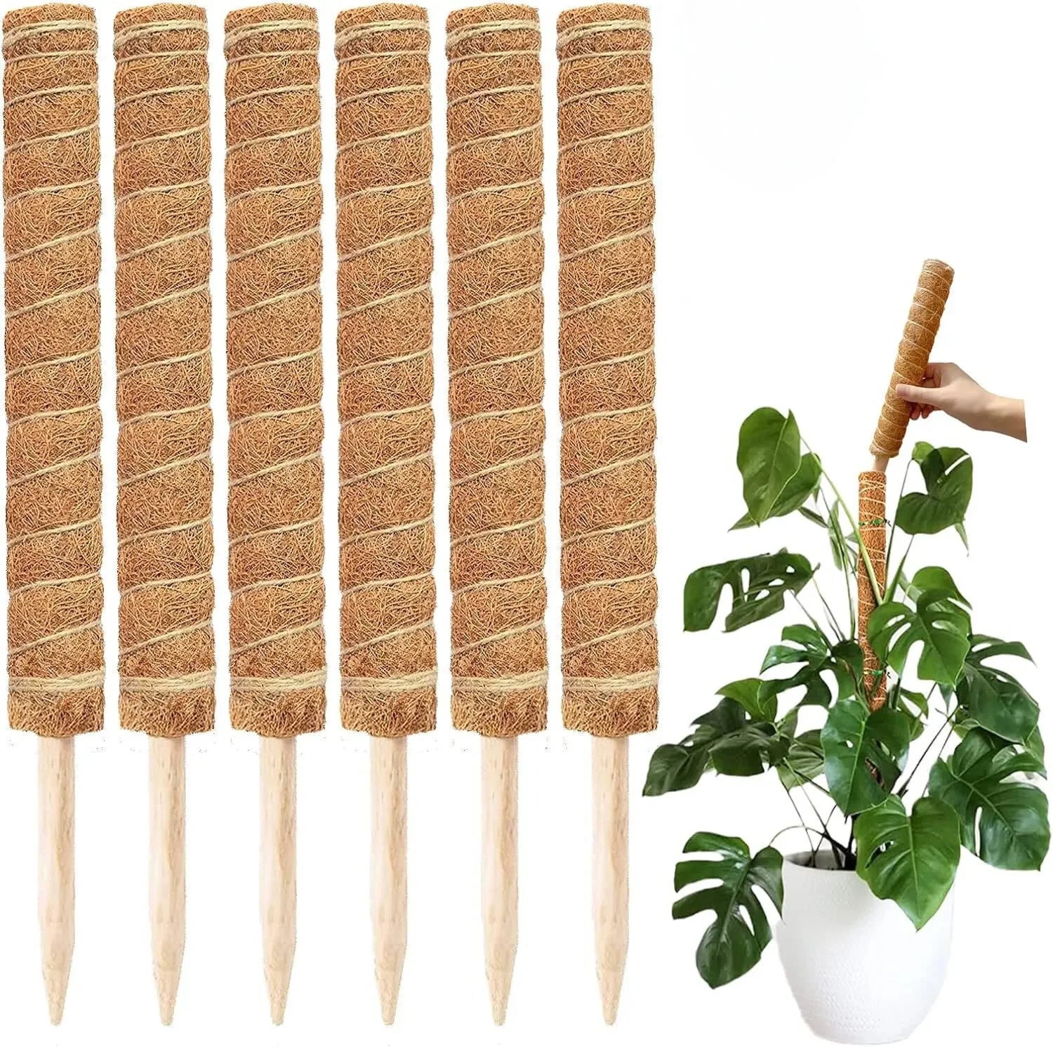 Extendable Handmade Moss Pole For Plants  Plant Climbing Rod Plant Pole For Climbing Plants, Real Handmade Moss Stick F