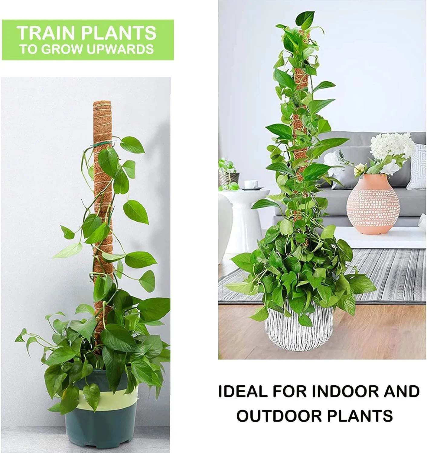 Extendable Handmade Moss Pole For Plants  Plant Climbing Rod Plant Pole For Climbing Plants, Real Handmade Moss Stick F