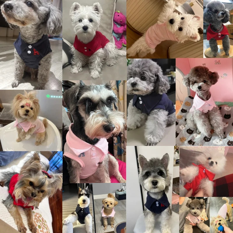 Summer Polo Shirt for Dogs Puppy Clothes Bichon Frise Chihuahua Stripe Dog Sweatshirt Dog Cooling Vest for Small and Medium Dogs