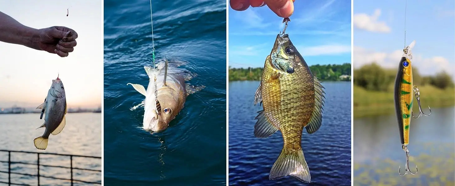 Advent Calendar Fishing Christmas Countdown - 24 Days Fishing Lures Set for Fisher Adult Men Teen Boys - 2025 Xmas Surprise Gift