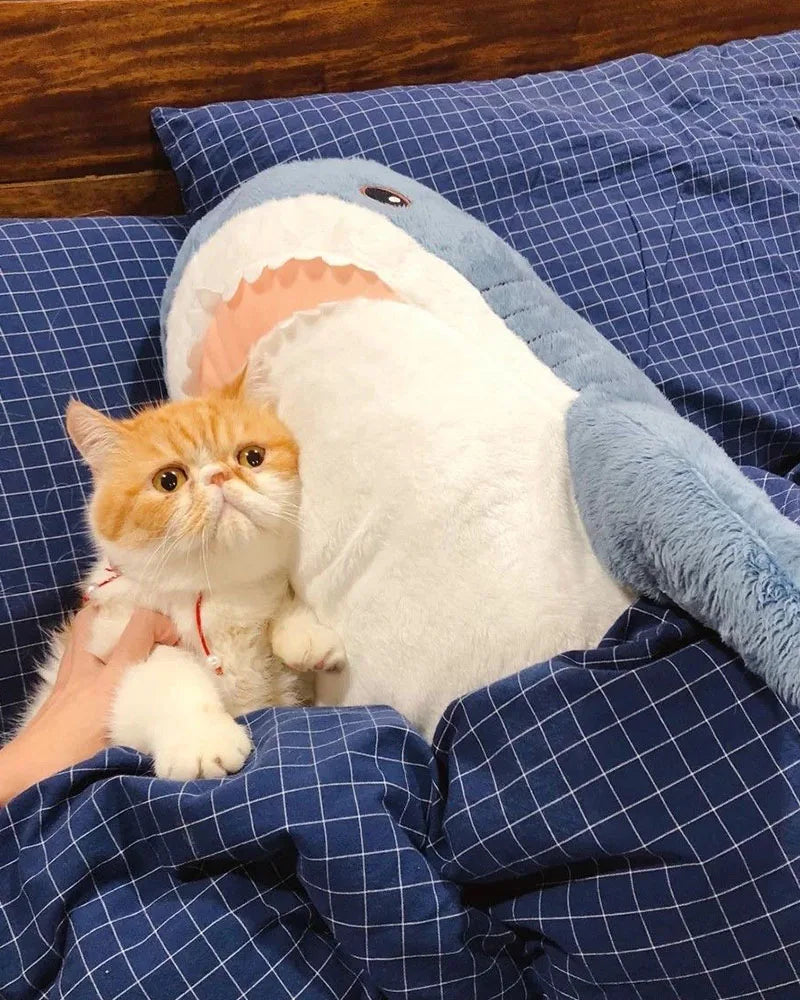 30cm Shark Toy Soft Stuffed Sea Animal Accompany Pillow High Quality Gifts For Birthday Children Boys Party Decro