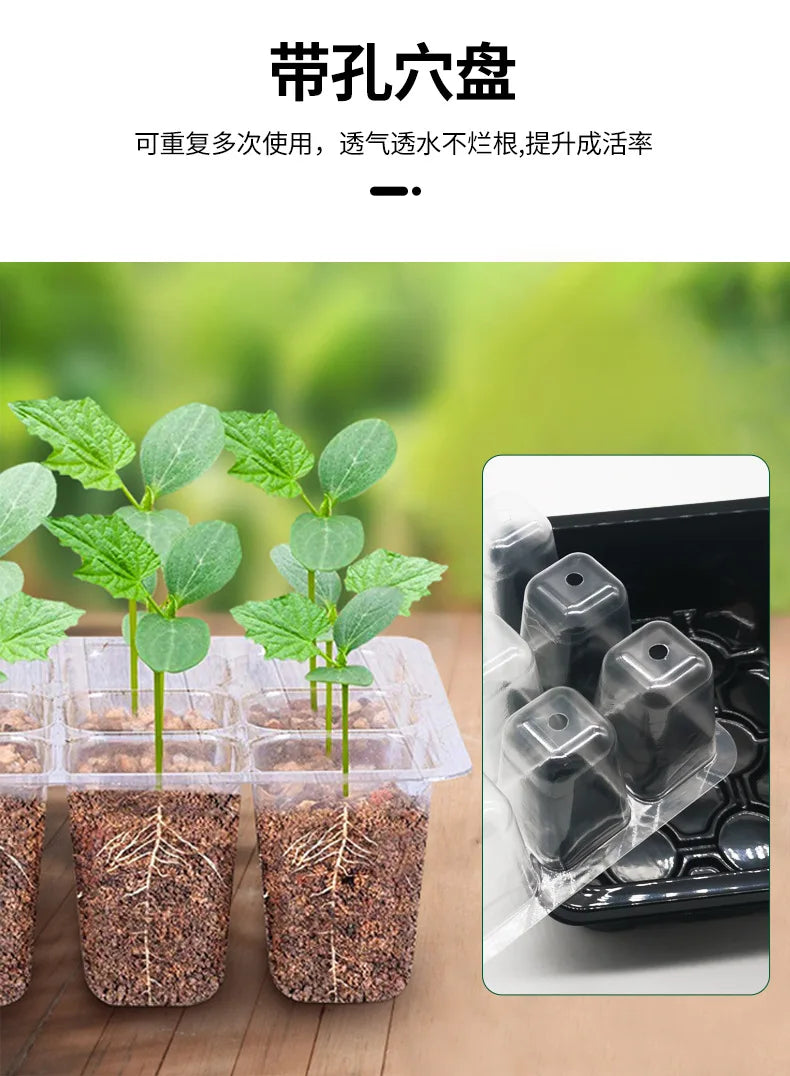 12-well Plastic Seedling Pot Succulent Sowing Seedling Box Insulated Seedling Tray