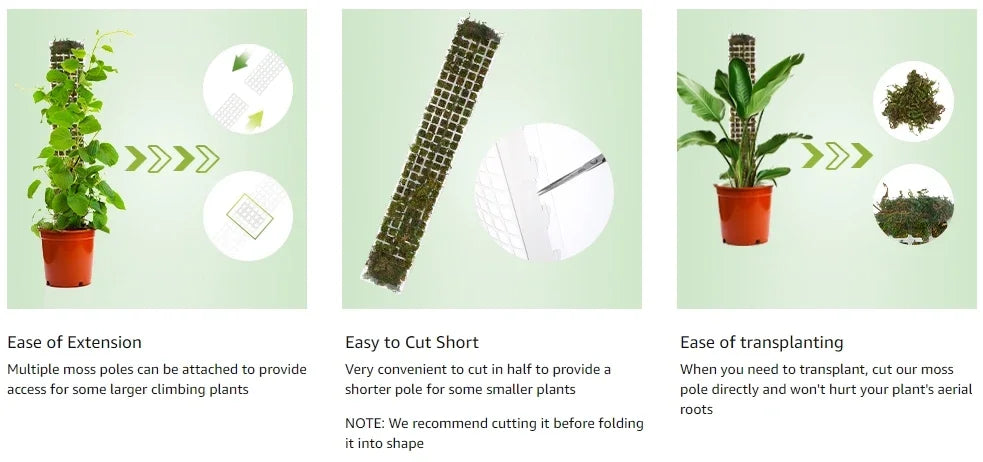 Moss Pole Plastic Plant Stand Indoor Climbing Plants Guardian Tutors Pot Moss Stick For Plants Growth Garden Support Accessories