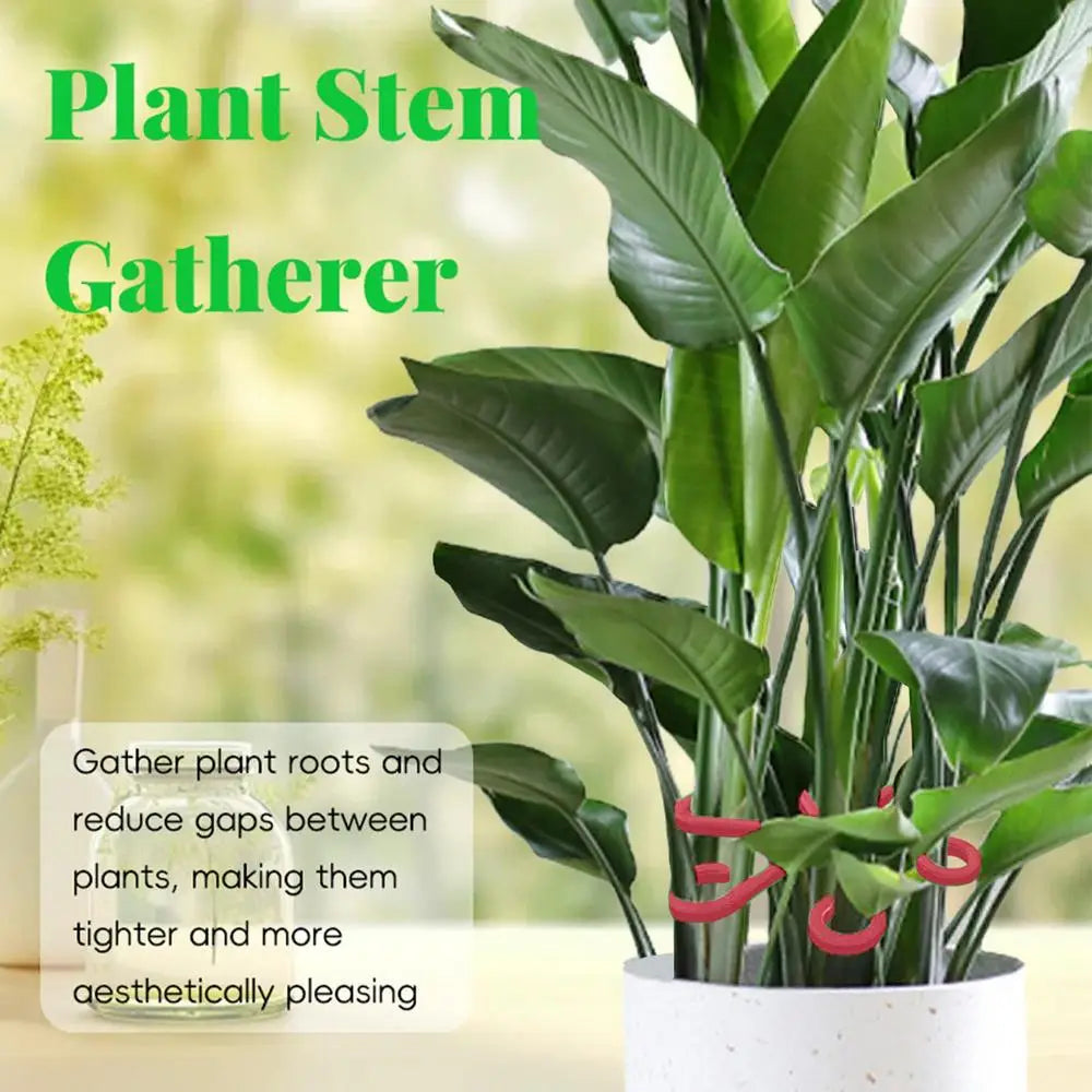 4pcs Climbing Plants Support Clips Flower stem collection Fixing rack Climbing support frame for Climbing Alocasia Monstera Vine