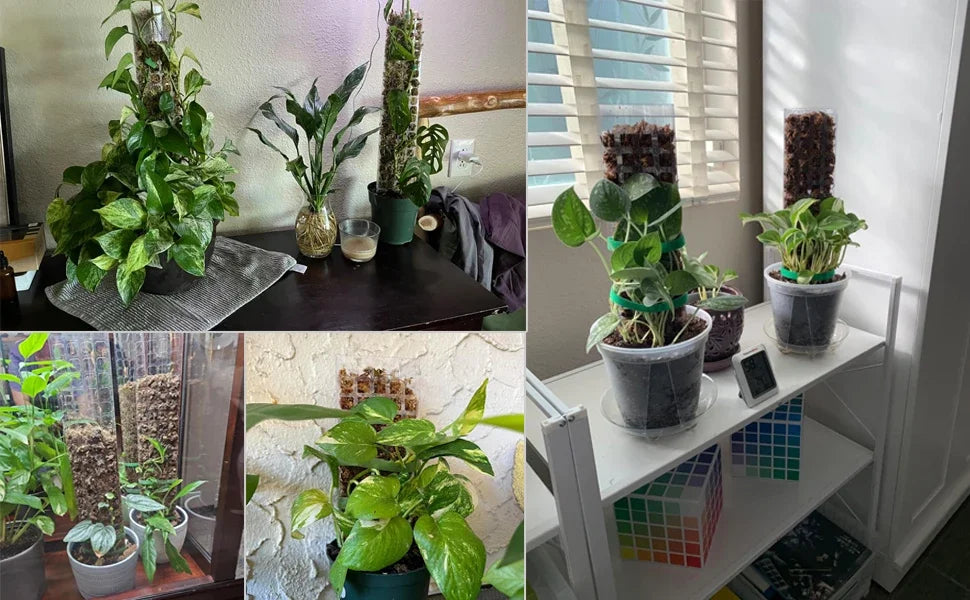 Moss Pole Plastic Plant Stand Indoor Climbing Plants Guardian Tutors Pot Moss Stick For Plants Growth Garden Support Accessories