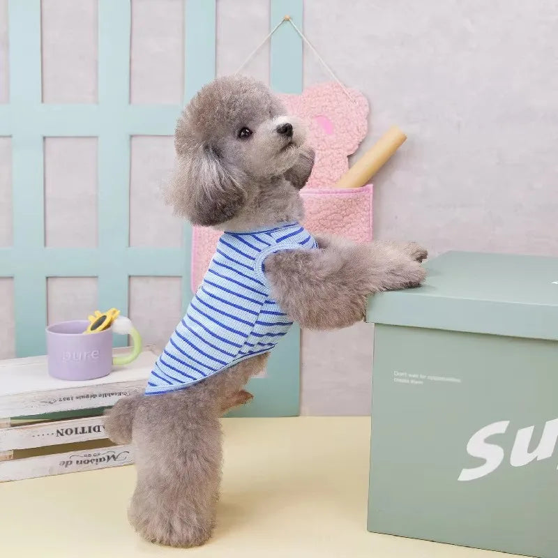 Puppy Summer Clothes Dog Fancy Dress for Small Breeds Dogs Pet Short Skirt Pomeranian One Piece Ropa Perro Costume Roupa Vestido