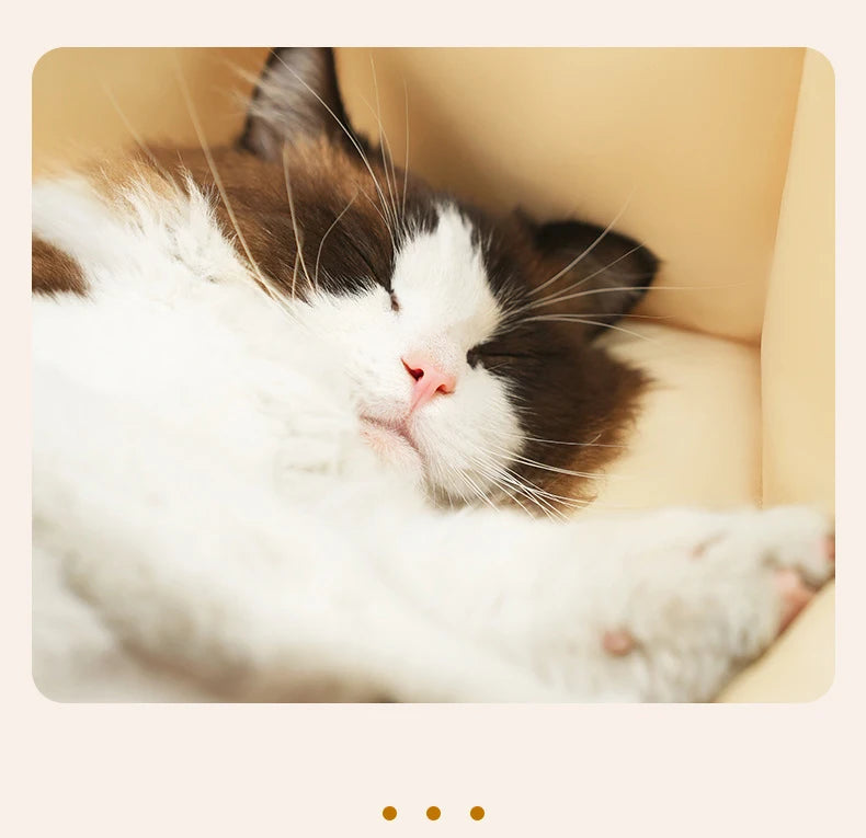 2024 Summer Pet Dog Bed Cat Bed Cat Mat Fragmented flowers Dog Mat Cotton Nest Dog house Puppy Sofa Bed Dog Beds for Medium Dogs