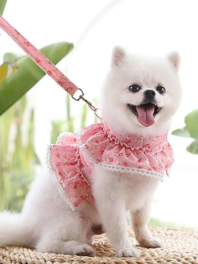 Puppy Summer Clothes Dog Fancy Dress for Small Breeds Dogs Pet Short Skirt Pomeranian One Piece Ropa Perro Costume Roupa Vestido